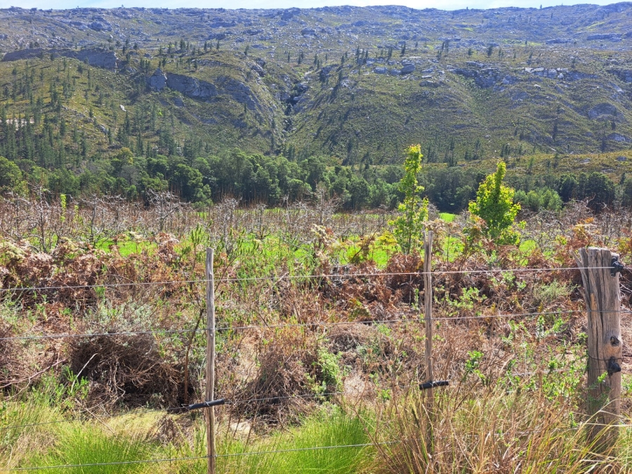 7 Bedroom Property for Sale in Riversdale Rural Western Cape